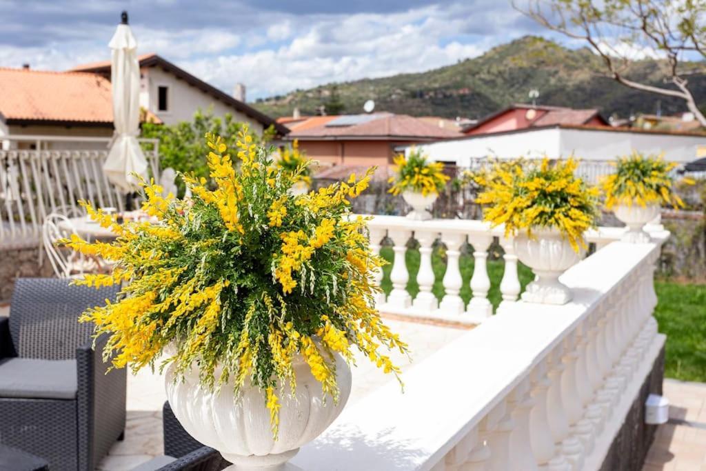 Villa Graziosa Трапитело Екстериор снимка